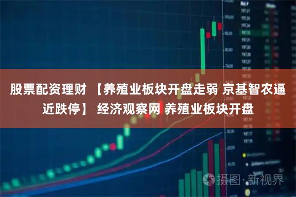 股票配资理财 【养殖业板块开盘走弱 京基智农逼近跌停】 经济观察网 养殖业板块开盘